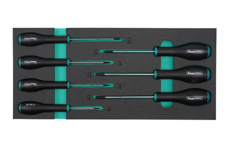 Modul Torxtrekkere T8-T30 7 St